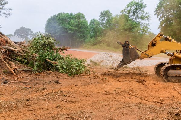 Cost of Forestry Mulching Service in Crestview