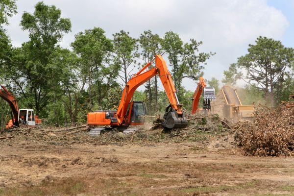 Cost of Commercial Lot Clearing in Crestview